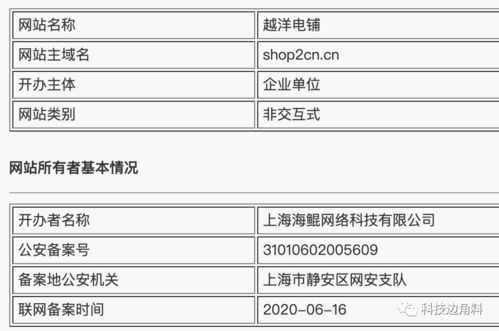 洋码头战略注资越洋电铺，持股20%加码跨境网络技术咨询